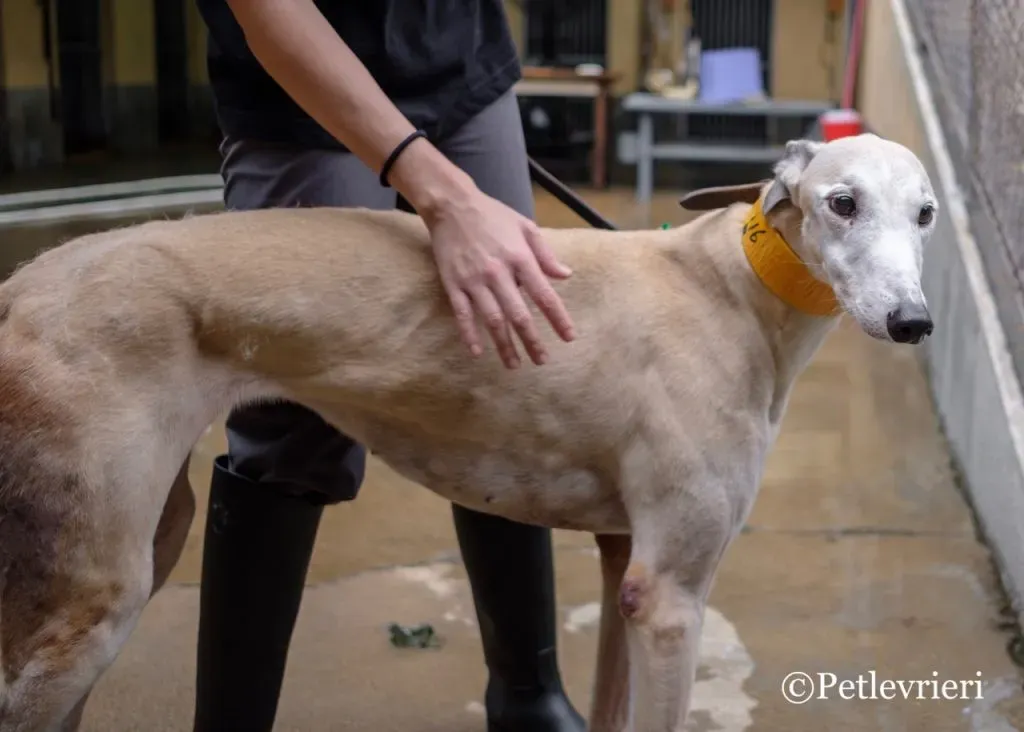 16 DSCF5556 1024x732