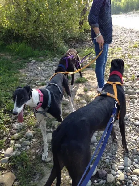 1600978 763605380324185 6322927107186229734 n