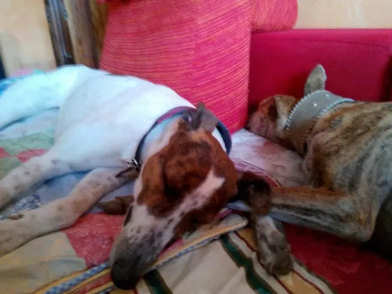 1601259 226968670831256 1334586451 n