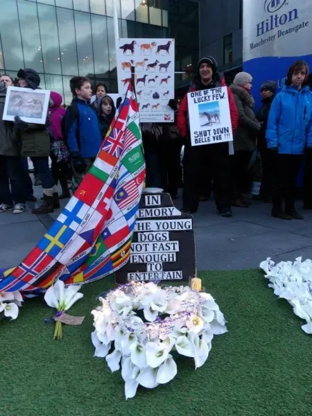 1601342 550560061718800 1001303826 n