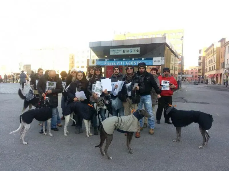 1601546 10201790294651482 1989982497 n1