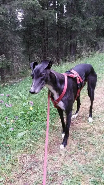 1601570 10206465695338997 5336748021716497516 n