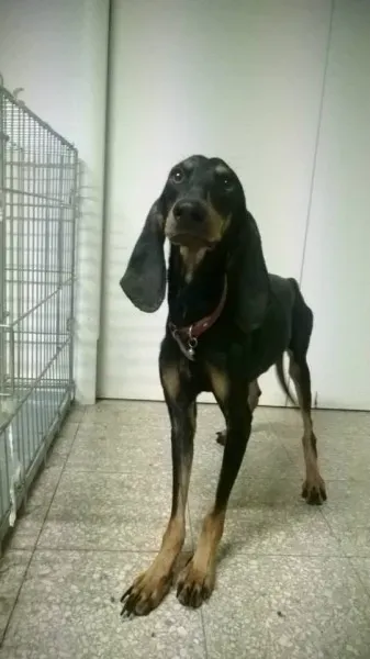 1601592 10202960280710440 85847657 n