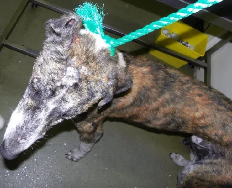 1604537 872283429456024 119164416807108572 n