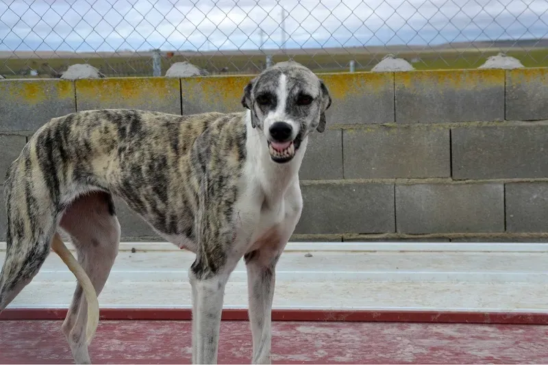 1606450 10202538627458555 1308277446 o