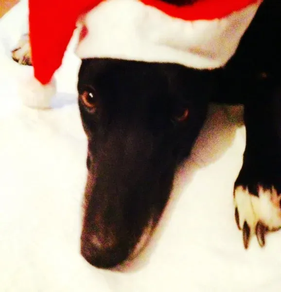 1606860 540418992795817 1912325610276968603 n