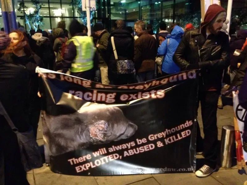 1608928 580599822031625 1844167796 n