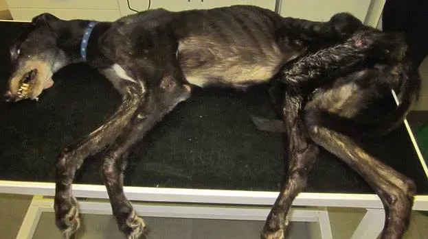 1609564 622740471112455 895116562 n 1