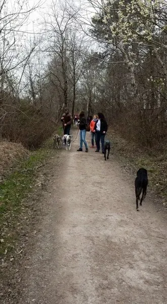 1609682 10205191453337965 2134938365458100530 n