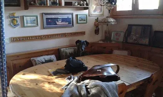 1609734 10202897759676354 1852721240001707919 n