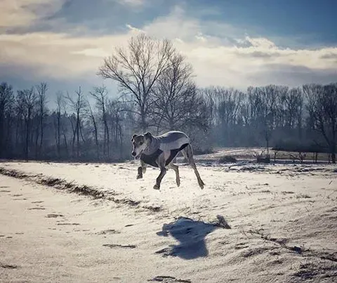 16105749 370468369992001 6723792594743947704 n