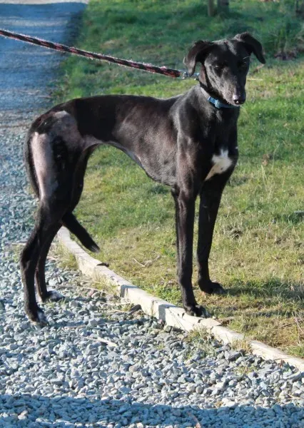 16107137 1527500487267645 7090539931247112151 o