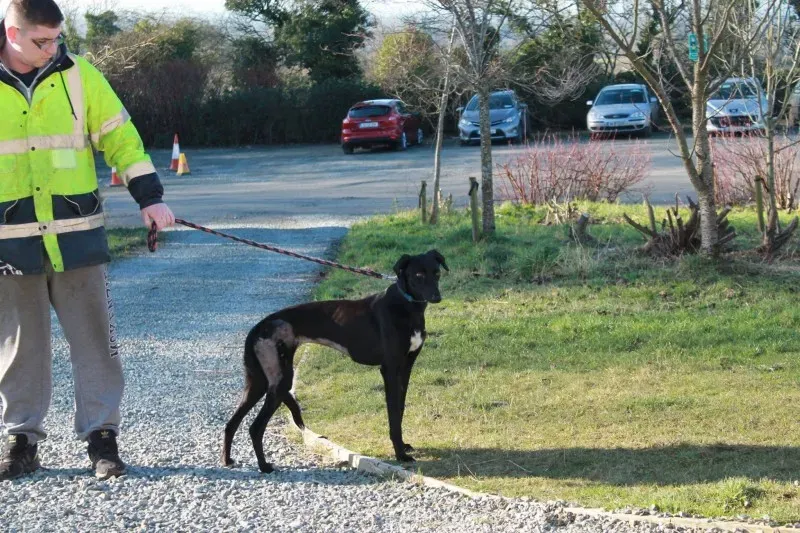 16107141 1527501007267593 1874859591835760150 o