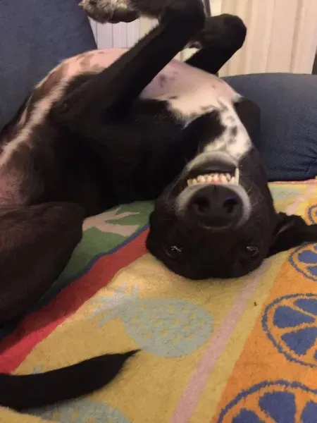 16107482 1259142120844055 8988104110834241013 o