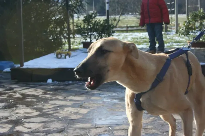 1610871 772119582871899 3432539308896131904 n