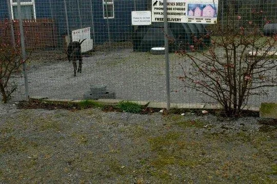 1610882 785489091534948 7740401578658614876 n