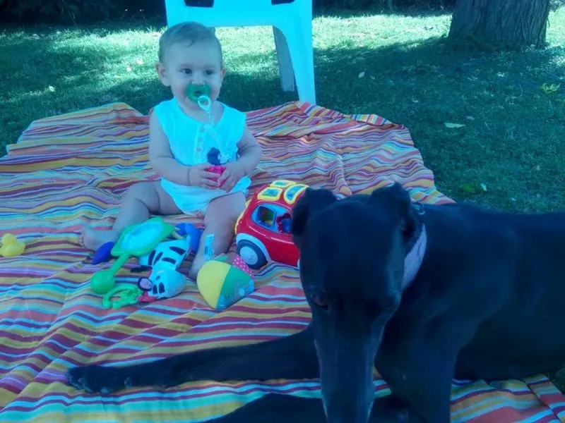 1610988 888324241202753 920750653734344596 n