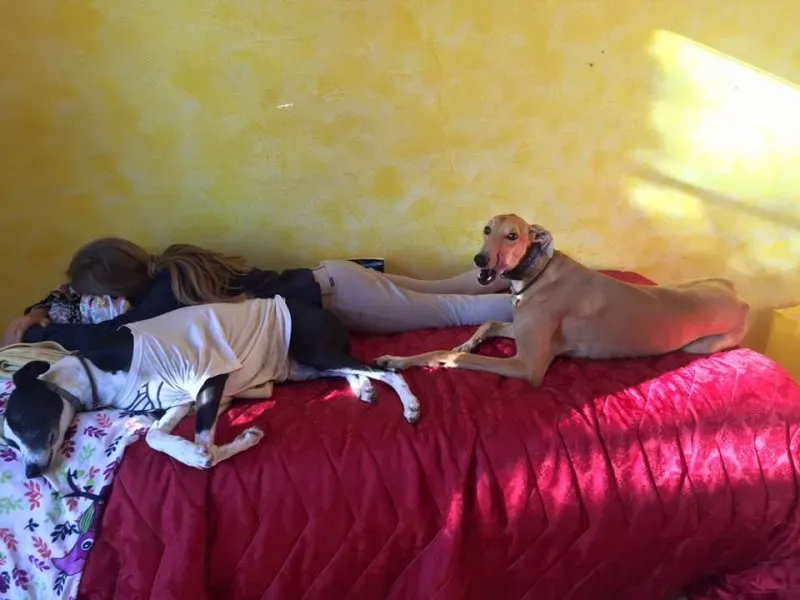 1610989 1728467060706190 4942757347381705680 n