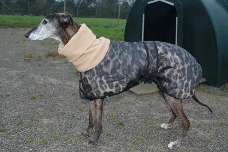 1614466 10152314457835194 4829275307866103258 o1