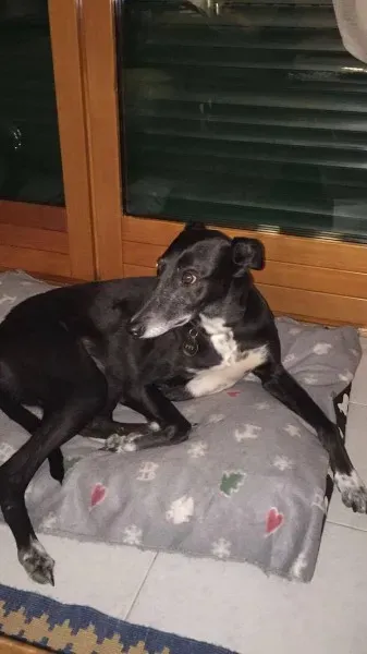 16145381 1261468443944756 230410305 o