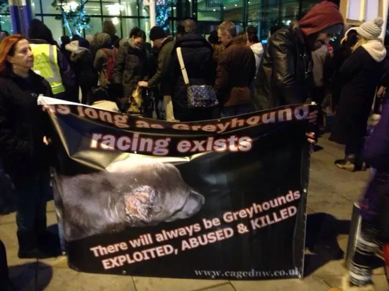 1616415 580599825364958 1853361911 n