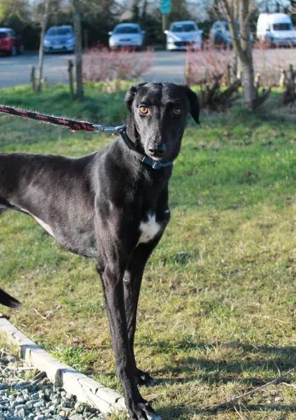 16178956 1527501480600879 4430619610263839560 o