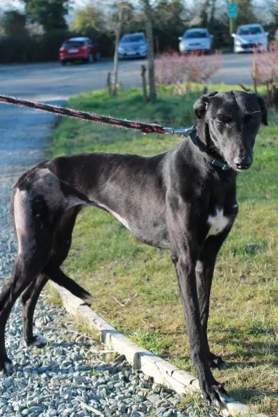 16179004 1527501573934203 584622179185973348 o