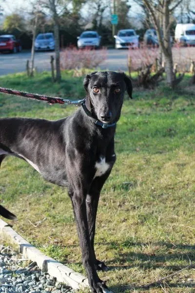 16179044 1527501610600866 6121326085947594862 o