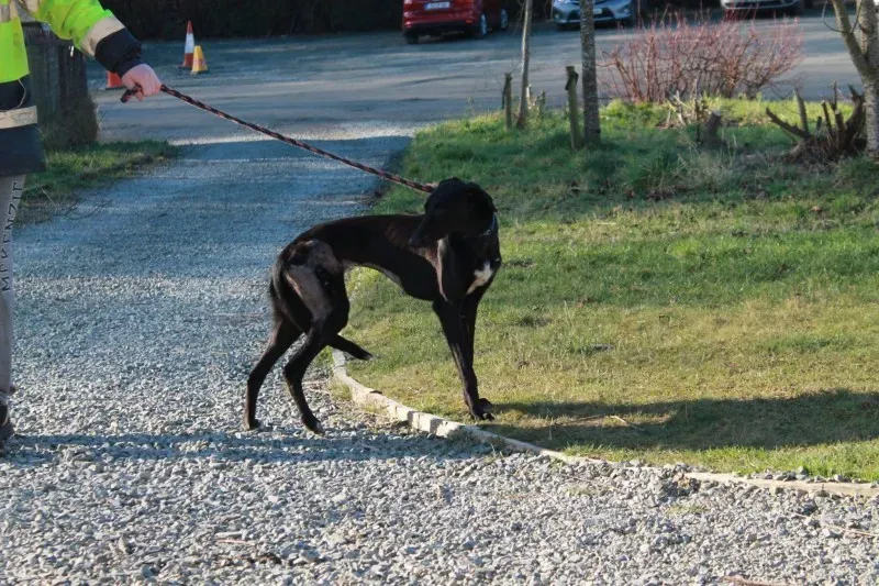 16179583 1527500717267622 6485157579994101548 o