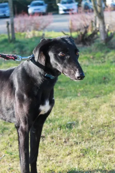 16179821 1527500997267594 4200117891604223439 o