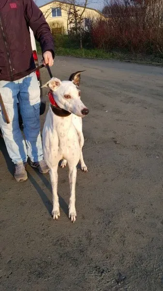 16196109 1202280963189163 1187134897 o