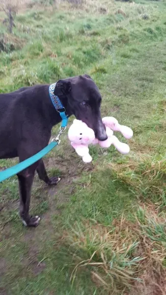 16196204 10210502787019504 226165536 o