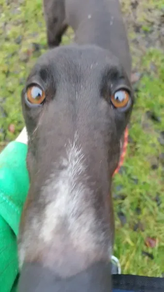 16196243 10210502795539717 569264246 o