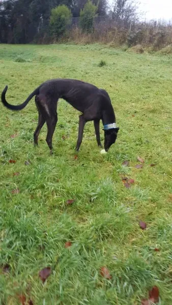 16196363 10210502794539692 124426476 o