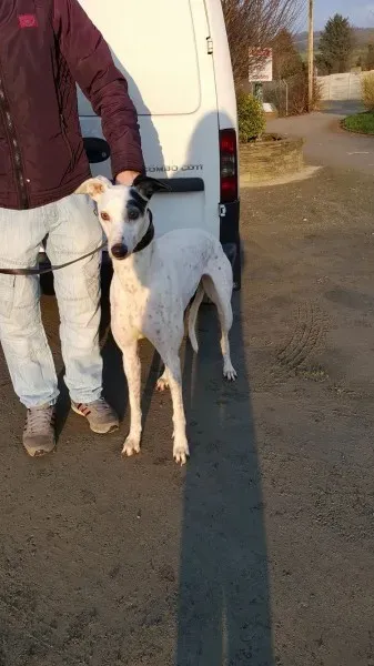 16196447 1202280853189174 1687609612 o