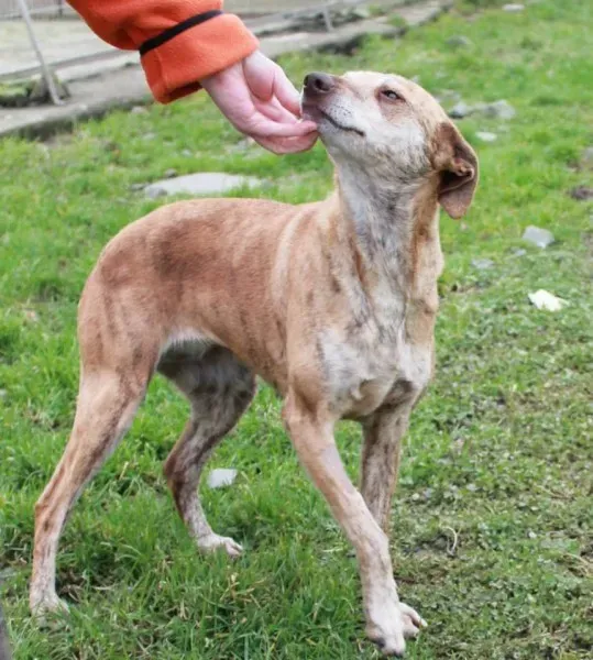 1620669 779067545510436 5055478323793307367 n