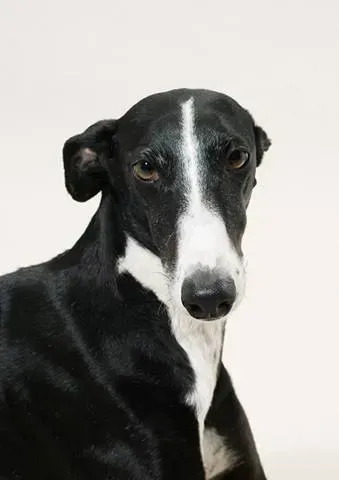 1620825 432820923527951 2189141938155964734 n