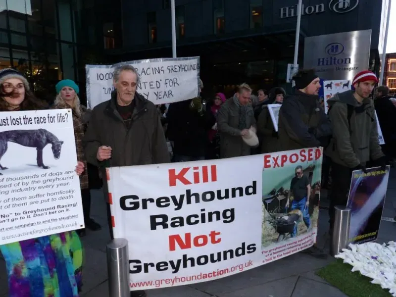 1622071 550562828385190 545316802 n