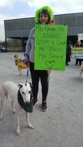 1622107 983425978407924 4383752625985866860 n