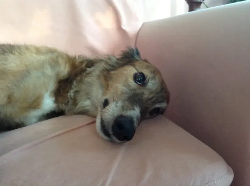 1622517 1517981265125378 2569194054108336865 o