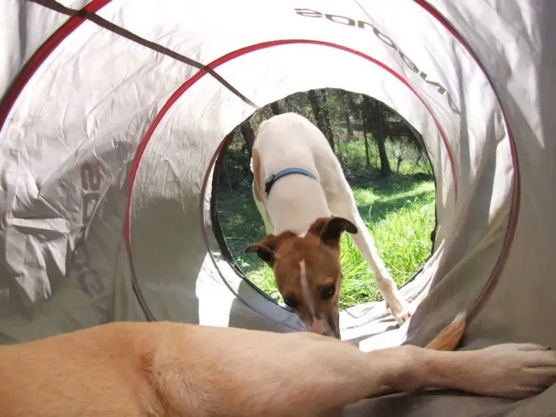 1622687 10202835664444012 1058009567 n