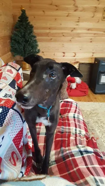 16229966 10210502779339312 66543920 o