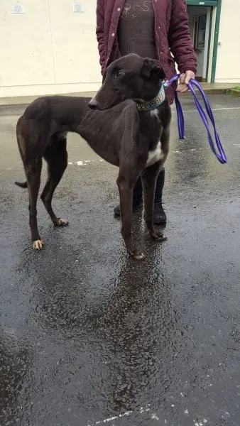 16231026 10210502797259760 1499420731 o