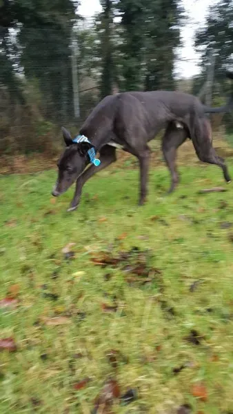 16231172 10210502795699721 2047388587 o