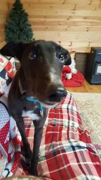 16231297 10210502784379438 1427594003 o