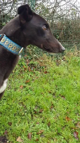 16231374 10210502799419814 1202422613 o