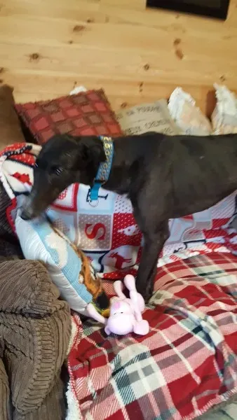 16231405 10210502778339287 1940343914 o