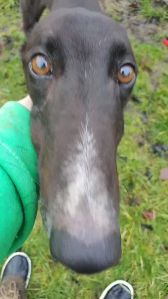 16231458 10210502794459690 826559856 o