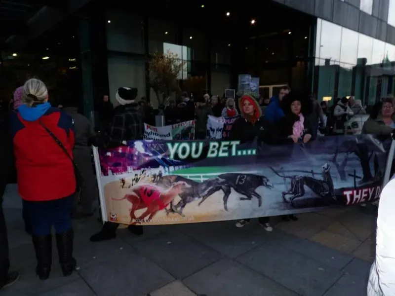 1623452 550564875051652 1637907179 n