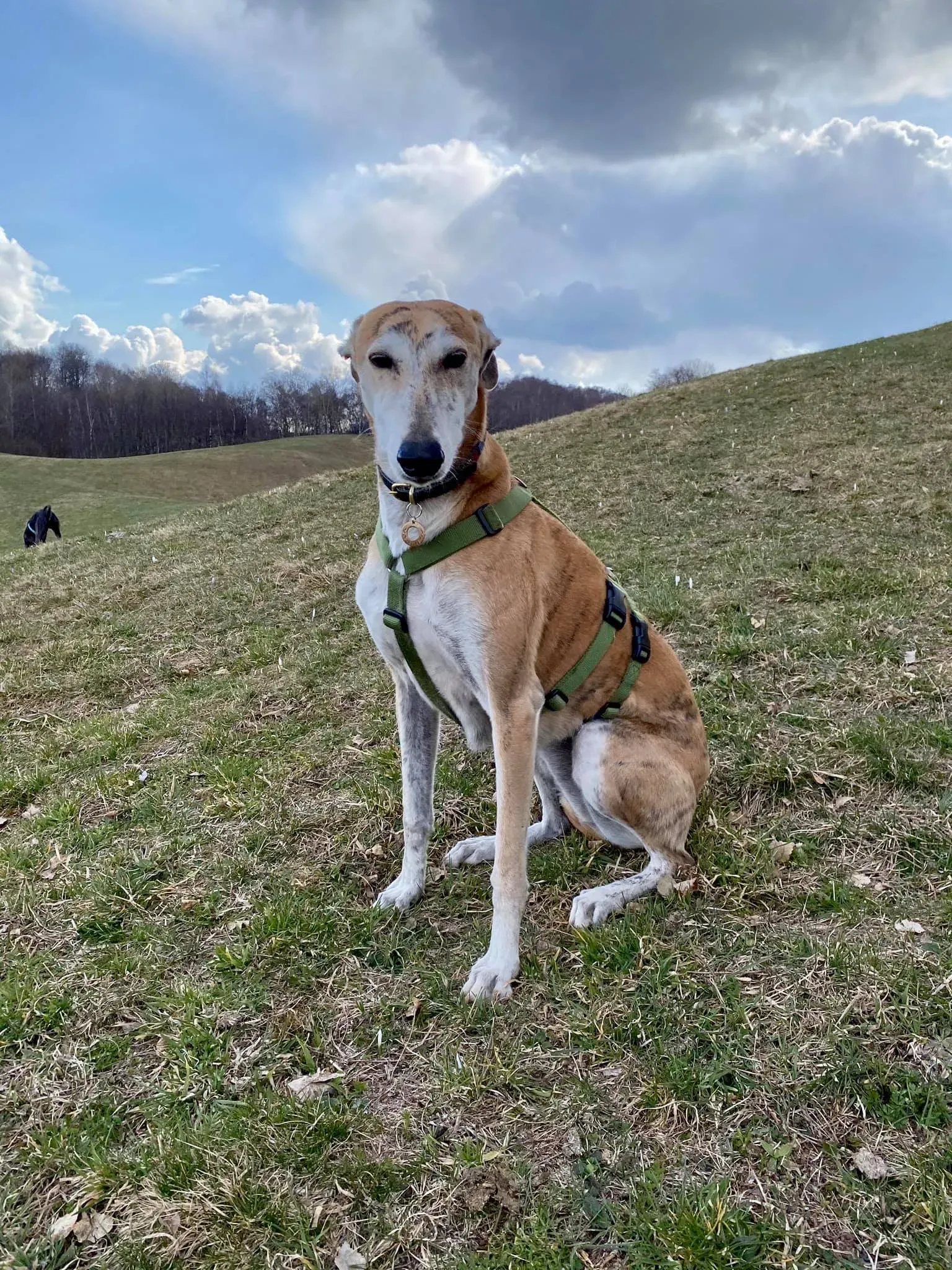 162361566 2891288081118676 5391189844896774400 n